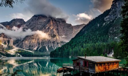 découvrez la beauté et la diversité de la nature, un véritable trésor de vie sauvage, paysages époustouflants et harmonie naturelle à explorer.
