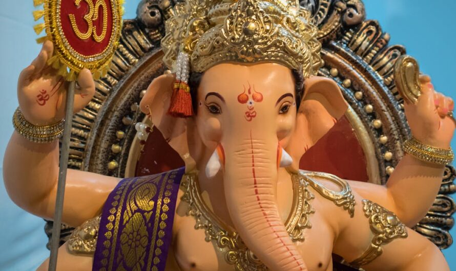 Tout savoir sur la boutique officielle om : nouveautés, maillots et accessoires incontournables