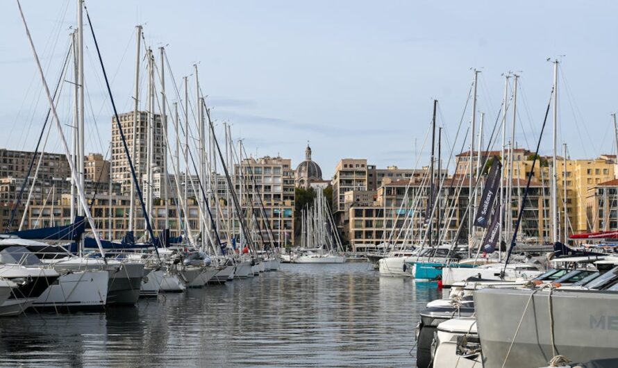 Tout savoir sur la boutique olympique de marseille : produits, conseils et bonnes adresses