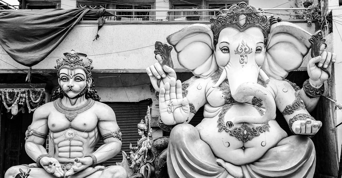 découvrez om store, votre boutique en ligne spécialisée dans une sélection unique de produits de qualité. profitez d'offres exclusives et d'un service client dédié.