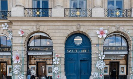 découvrez paris mint shop, votre boutique spécialisée dans les pièces et accessoires rares de haute qualité, au cœur de paris.