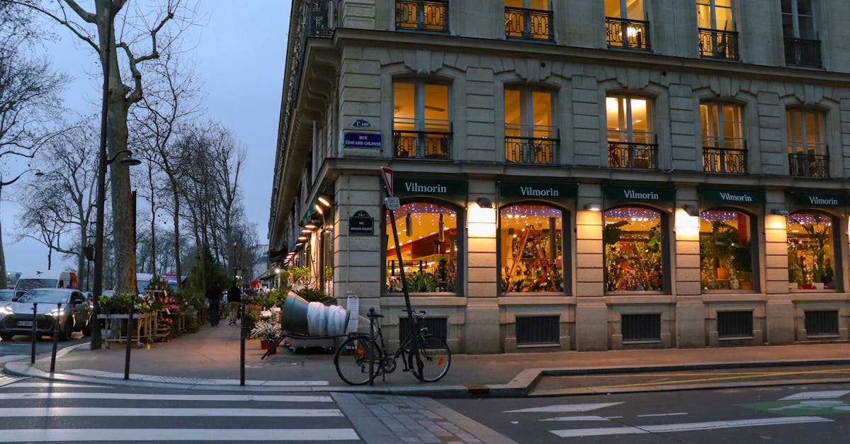 découvrez les meilleures adresses pour faire du shopping à paris : boutiques de luxe, magasins tendance et marchés typiques pour une expérience unique.