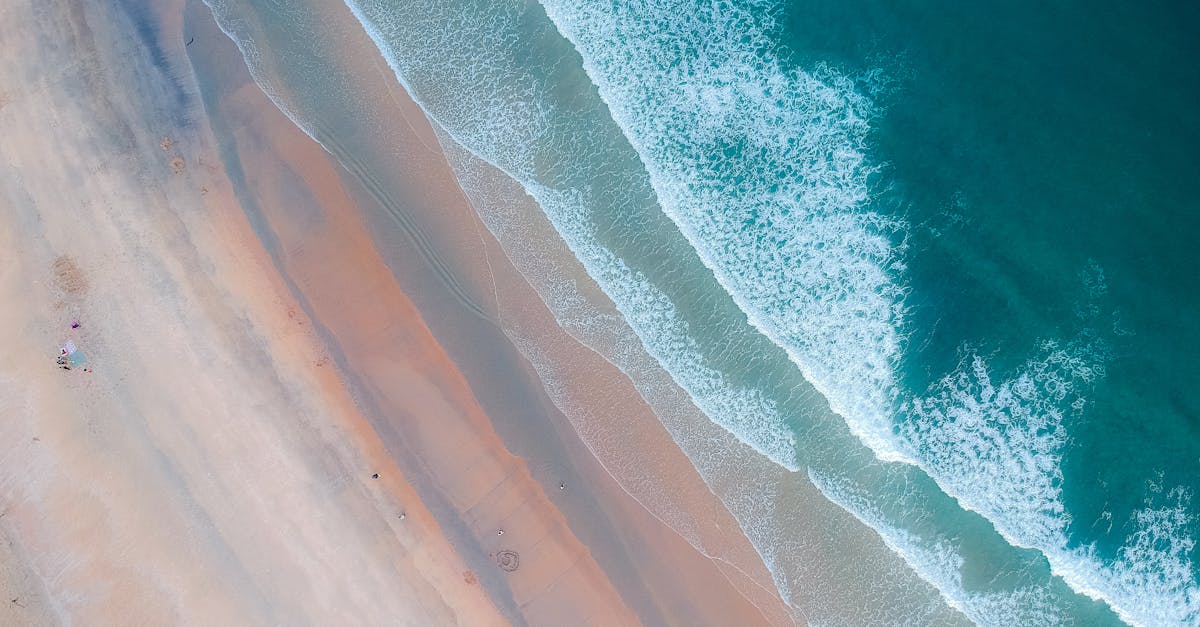 découvrez perfect clothing, votre destination mode pour des vêtements élégants, confortables et adaptés à toutes les occasions. trouvez votre style parfait dès aujourd'hui !