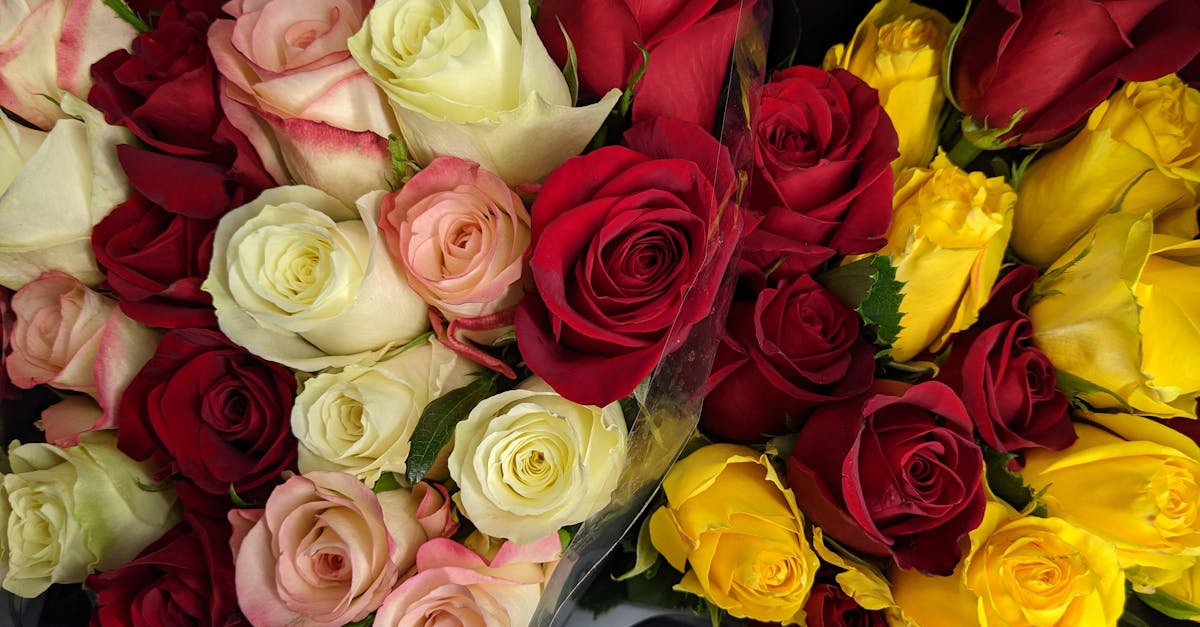 découvrez des idées cadeaux parfaites pour toutes les occasions et faites plaisir à vos proches avec notre sélection unique et inspirante.