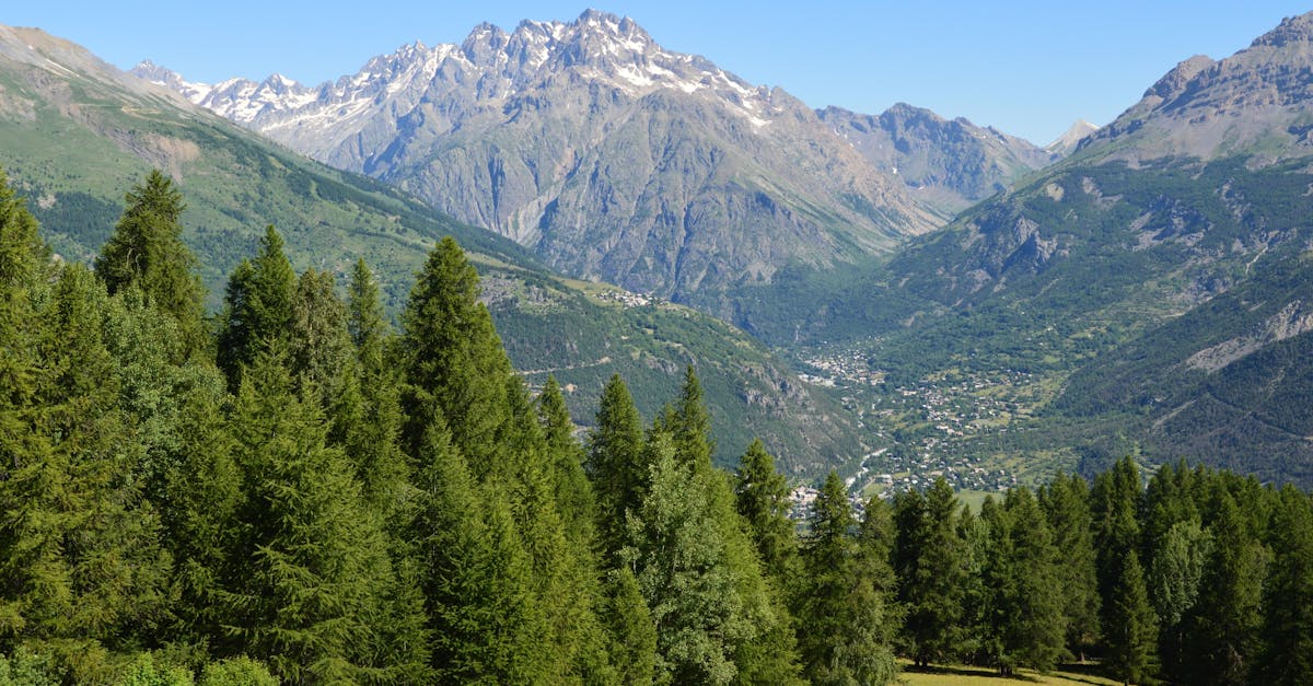 découvrez la boutique officielle du puy du fou : souvenirs uniques, articles exclusifs et cadeaux inspirés de l'univers du parc historique.