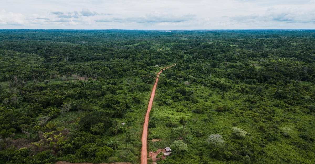 découvrez les meilleurs magasins près de la gare du nord pour faire du shopping facilement et rapidement lors de votre passage.