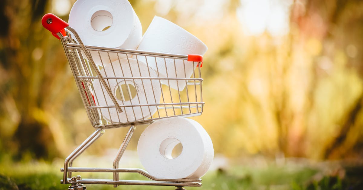 découvrez les essentiels snsm shop : équipements et accessoires indispensables pour la sécurité et la performance en mer. qualité et fiabilité garanties.