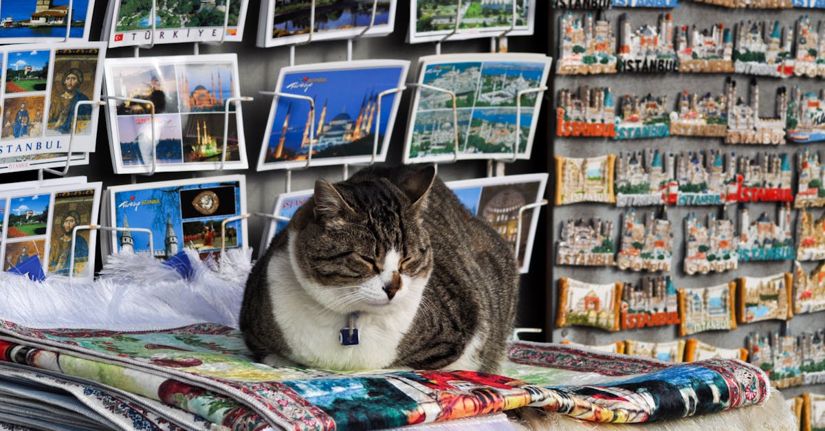 découvrez notre boutique de souvenirs unique, où chaque objet raconte une histoire. trouvez des cadeaux originaux et des souvenirs mémorables pour toute occasion.