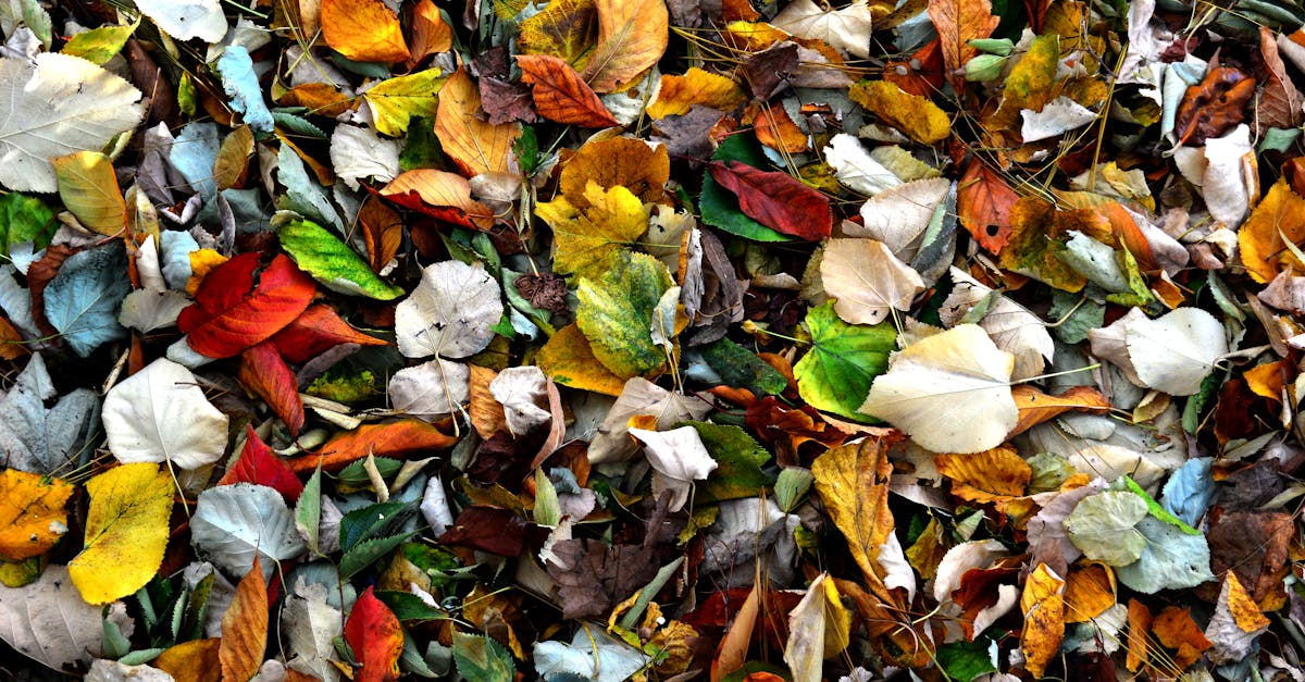 découvrez l'upcycling, une démarche écologique qui transforme les objets anciens en créations uniques et durables pour réduire les déchets et préserver l'environnement.